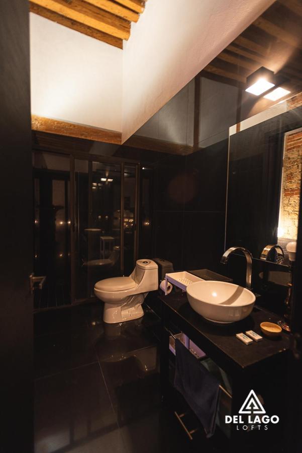 Del Lago Lofts Downtown * Mexico-stad